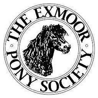 Exmoor Pony Society(@EPS_exmoorpony) 's Twitter Profile Photo