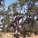 Vincent Albertini - @vinoalbi - Twitter