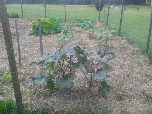 We are a small non-profit working to build a beautiful, resilient, and sustainable community.