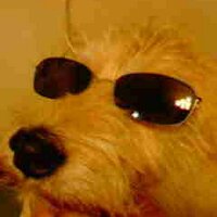 シータ (@theta001) 's Twitter Profile Photo