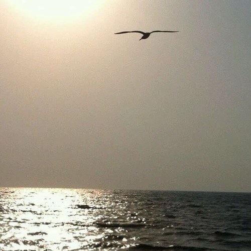 سبحان الله وبحمده********* سبحان الله العظيم