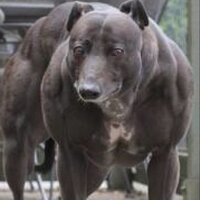 Mike Kovac (@mikeykovac) Twitter profile photo