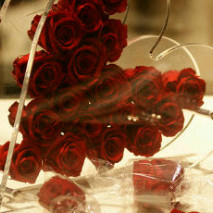 dhbia22's profile picture. 