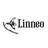 LinneoCondesa's profile image