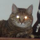 Nancy Friedlander - @nfriedlander - Twitter