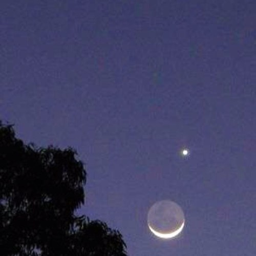 rvanderlow's profile picture. Yo voy a matar al glam-rock!