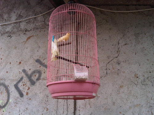 okhariesma's profile picture. Guitarist @Medan_Magnet. your support is our power :)