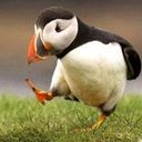 lillian - @lillian_yip - Twitter