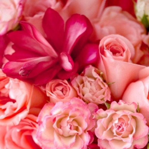 SOlis_Own's profile picture. Whether you're planning your Wedding or a Bridal Shower, Baby Shower, Christening, Family or Corporate Event I can help you! 13yrs Exp.