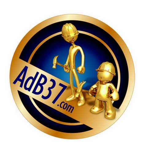 Vous voulez construire, rénover, aménager ou décorer votre habitat ? AdB37, l'Annuaire des professionnels de l'habitat reconnus en Indre-et-Loire.