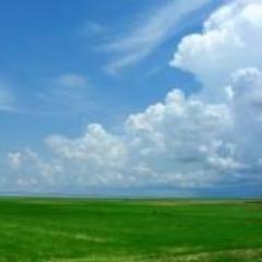 michelinrek's profile picture. With the new day comes new strength and new thoughts.