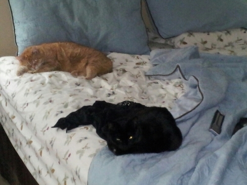 MathmanPi's profile picture. 