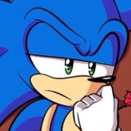 It's Sonic, Sonic the Hedgehog. I'm pretty sure you heard o'me. So yeah, let's check this Twitter thingy out already! ..lol jk show me yo genitals. #dashawtdawg