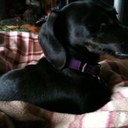 ina mason - @inamasom - Twitter