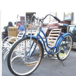 myblueschwinn Profile Picture