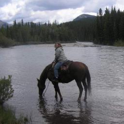 ClaireGoddard6's profile picture. Master of Counselling Student at City University of Seattle Calgary Campus. The goal is to become a counselling psychologist specializing in PTSD.