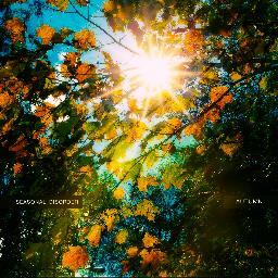 bloomrecs's profile picture. We are a New England-based small record label and publisher.