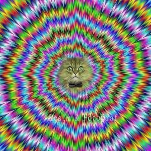 bato56680's profile picture. 