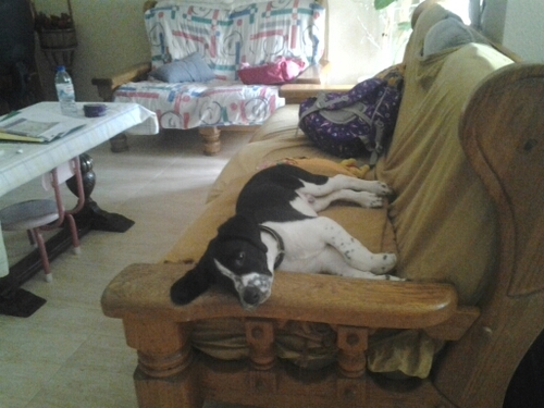 DenisDenisd701's profile picture. 