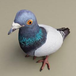PigeonParker's profile picture. Pigeon of sorts
a-waiting the rest of the flock @loncon3 tweeting and updating meanwhile