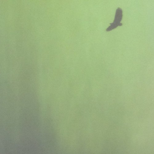 wordstrace's profile picture. 