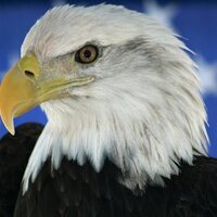Austin Academy (@aa_eagles) 's Twitter Profile