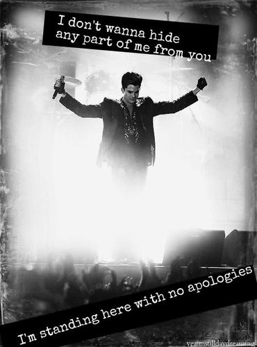 Glambertlove2's profile picture. Adam Lambert. . . is there anyting else i should say??