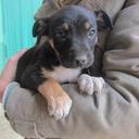 Juan Mari - @Juantxo26 - Twitter