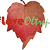#LoveOltrepo (@loveoltrepo) Twitter profile photo