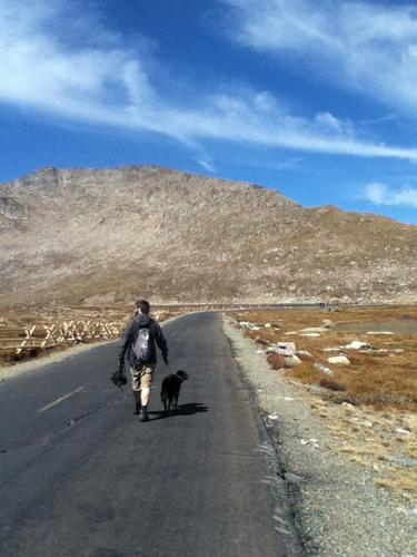 thebrownzombie's profile picture. 