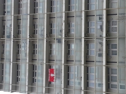 OWIEMUFC's profile picture. Manc born,an a life long United fan.