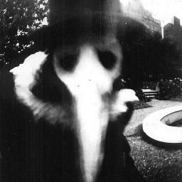 FabricioMorale6's profile picture. 