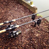 Somerset Carpers (@somersetcarpers) 's Twitter Profile