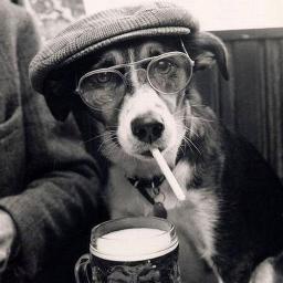 ...single wm who does enjoy handicapping the races but not a major bettor anymore.