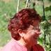 dolores roque (@doloroque) Twitter profile photo
