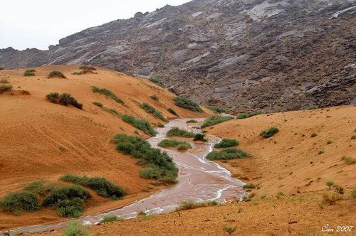 سبحان الله وبحمده سبحان الله العظيم