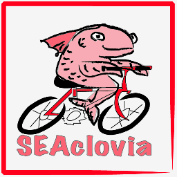 SEAclovia makes the streets safe for people to walk, wheel, skate, play and ride a bike in Seattle!