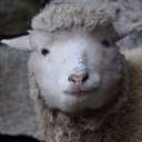 Mary Grilli - @GrilliMary - Twitter