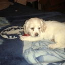 genaro juarez mendoz - @GenaroMendoz - Twitter