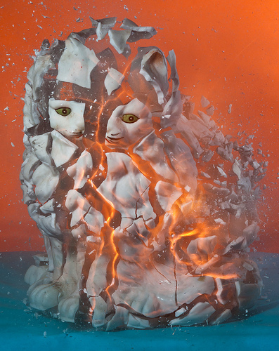 unogat's profile picture. 