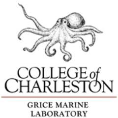 The College of Charleston's 1st & only marine lab. Our research Master's program makes us all ~entrepreneurial~ scientific explorers at 💙! 🐟🌊🦐🐋🧪🔬