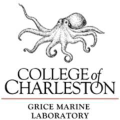 The College of Charleston's 1st & only marine lab. Our research Master's program makes us all ~entrepreneurial~ scientific explorers at 💙!         🐟🌊🦐🐋🧪🔬