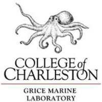 Grice Marine Lab (@gricemarinelab) 's Twitter Profile