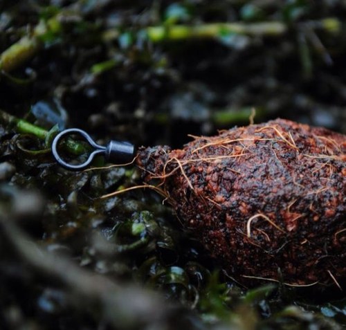 LeneyLeads's profile picture. 