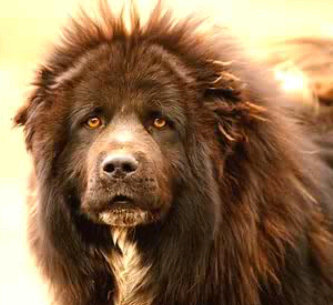 TheMagnaflow4's profile picture. 