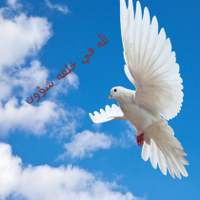 متفائل (@wwwrayan2013) 's Twitter Profile Photo