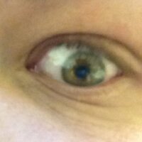 Jester (@genopsdir) 's Twitter Profile