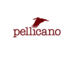 Pellicano Menswear (@pellicanostyle) Twitter profile photo