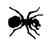 JackTafferuglio's profile image