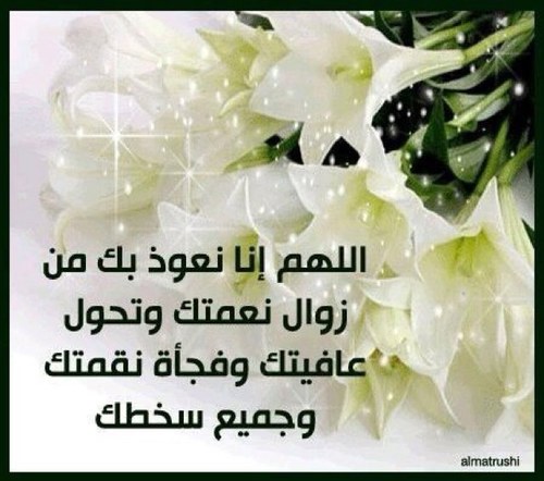 فقيرة الى ربي أرجو ماعنده ونسأل الله الثبات في الدنيا والآخرة